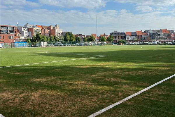 Renovatie kunstgras voetbalveld Bouckenborgh - Sportinfrabouw NV